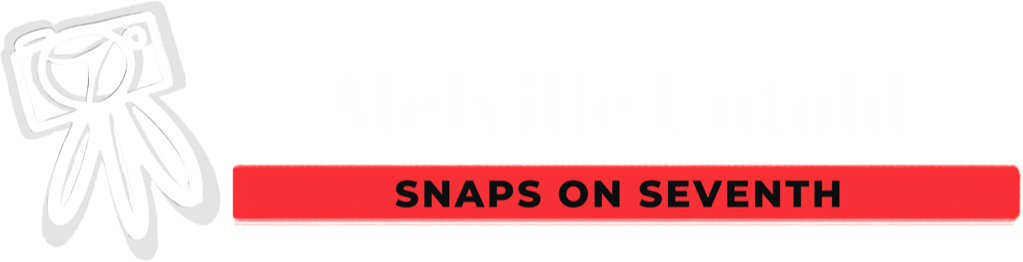 Melville Untold